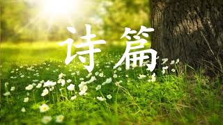 诗篇89:19-37 | 敬拜赞美