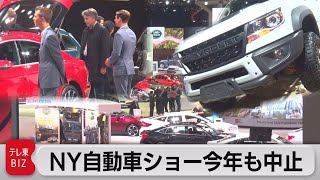 デルタ株拡大でNY自動車ショーが中止（2021年8月5日）