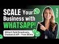 Is Whbell the Best WhatsApp Marketing Tool?
