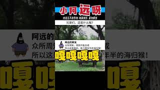 #搞笑视频 #搞笑神评 #视频纯属娱乐请勿模仿 放了一个鞭炮，全村都安静了😂