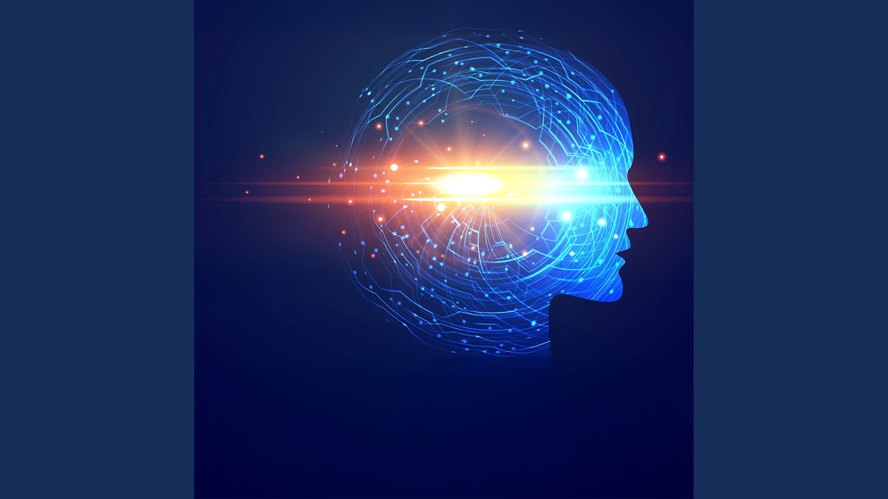 Neural Wealth Dynamics Youtube