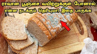 ராவான பூஞ்சை வயிற்றுக்குள் போனால் என்ன நடக்கும் தெரியுமா.! - Tamil Info 2.0