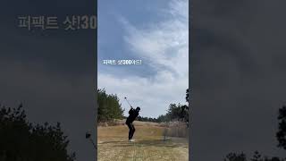 직장인 프로테스트 도전 #kpga 얼마 남지 않은 기간동안 최선을 다해보자 #300야드 #300yard #shorts