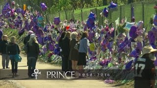 Fans Celebrate Prince At Paisley Park On Anniversary Of Death
