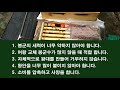 여왕 죽이고 왕안 바로 붙여 주기 여왕교체 군수가 많지 않으면 해 보세요