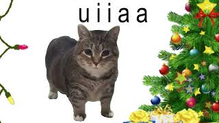 OIIAOIIA Cat All I Want For Christmas Is You