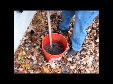 Making Wood Ash Lye from Ash to Crystals Making Wood Ash Lye from Ash to Crystals