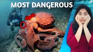 ਸਮੁੰਦਰ ਦੀ ਗਹਿਰਾਈ ਵਿੱਚ ਮਿਲਿਆ ਖ਼ਤਰਨਾਕ ਜੀਵ || Most Dangerous Ever