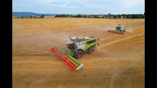 ŽNĚ 2024 | CLAAS Lexion 8700 \u0026 760 \u0026 600 | sklizeň ječmene a pšenice | ZD Újezd