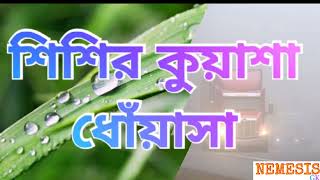 DEW । FOG। SMOG। শিশির কুয়াশা ও ধোঁয়াশা।।।