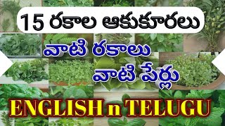 Indian Green Leafy Vegetables names in Telugu and English | 15 రకాల ఆకుకూరలు