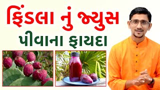 ફિટ રાખશે ફિંડલાનો રસ | હાથિયા થોર ના ફિંડલા || સ્વાનંદ પરિવાર ||