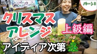 クリスマス　アレンジ　上級編　流木　石　アイディア　センス　是非作って見て下さい【おうちでガーデニング】開花園チャンネル