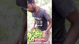 ভালো দাম পাওয়া যাবে কাচা তরকারি  #Agricultural #agriculturevegetables #agriculture #aceagro #funny