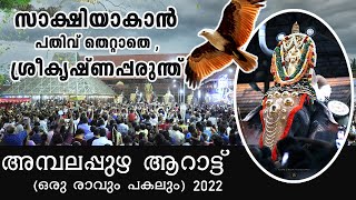 Ambalappuzha Arattu 2022 I Day \u0026 Night