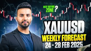 GOLD Weekly Forecast in Hindi/Urdu | 24 - 28 Feb 2025 | MSB FX