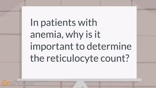 What is the importance of reticulocyte count in anemia workup?