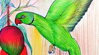 shobhakruth nama ugadi subhakankshalu |how to draw parrot #youtubeshorts#color pencil drawing