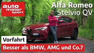 Alfa Romeo Stelvio Quadrifoglio: Besser als BMW und AMG? - Vorfahrt/Review | auto motor und sport
