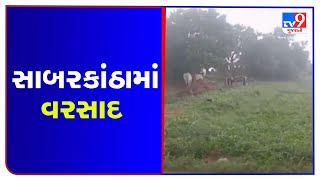 Idar, Himatnagar and surrounding areas receive rain showers with strong winds, Sabarkantha | TV9News