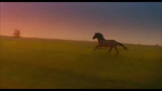 Guildford the horse running - My Lady Jane (How To Train Your Dragon)