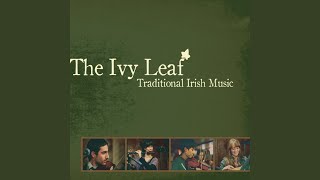 The Coachman's Whip/Monaghan Twig/the Torn Jacket (Medley)
