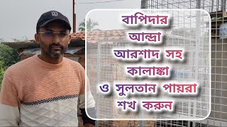 বাপিদার আন্দ্রা পায়রার loft আর আরশাদ সহ কালাঙ্কা ও সুলতান লাইন এর পায়রা শখ করুন