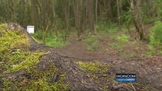 Mystery surrounds human remains found on hiking trail