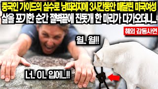 미국 국립공원 절벽 끝에서 3시간 동안 매달려 있던 미국여성 삶을 포기한 순간 절벽 끝에 진돗개 한 마리가 다가오더니....