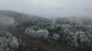 Rice terraces in China's Yunnan witness rare view of icicles