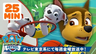 パウ・パトロール | パウ・パトロールのスポーツ＆レスキュー！🏀 | 25分 | テレビ東京系にて放送中