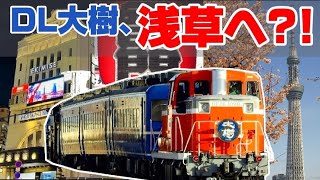 もしSL/DL大樹が浅草駅に入線したらどうなる？