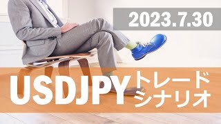 【FX:ドル円 2023.7.30】トレードシナリオ解説