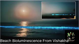 Bioluminescence Bheemili Beach#     బయోలుమినిసెన్స్ భీమిలి బీచ్