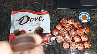 DOVE PROMISES Dark Chocolate Candy Individually Wrapped