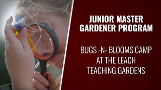 Junior Master Gardener program at Texas A&M - Bugs -n- Bloom Camp