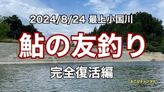 鮎の友釣り　2024/8/24　最上小国川　完全復活編