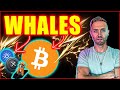 bitcoin whale frenzy fuels altcoin hypercycle (XRP flys)