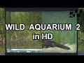 WILD AQUARIUM 2 HD MIKOLJI