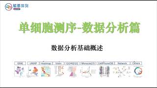 单细胞测序-数据分析篇-单细胞数据分析基础（Single Cell Sequencing -Fundamentals of Single Cell Data Analysis）