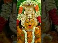 அம்மன் அருள் வாக்கு அம்மன் godstatus god amman