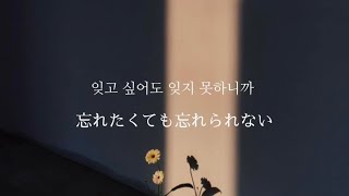 【日本語字幕、和訳】          I Loved You - DAY6