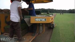 Winstead Turf Farms Inc | Turfgrass | Arlington, TN