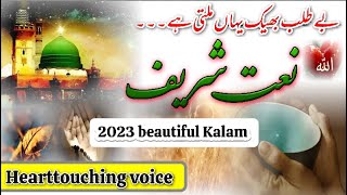 Be talab bheek yahan milti hai new naat sharif 2023 without music | hearttouching voice | urdu naat