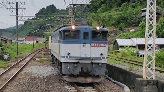 6月22日早川駅 新鶴見A26運用 5086レ EF65 2063