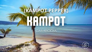 Exploring Kampot: Bokor National Park, Pepper Plantations, and River Serenity