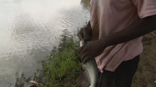 Texas Outdoors: Good old fashioned fishing