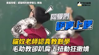 貓奴老師認真教數學　毛助教卻趴肩上扭動狂撒嬌