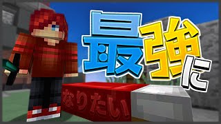 【マイクラ】ベッドウォーズしたけど余裕だったのでスカイウォーズした。