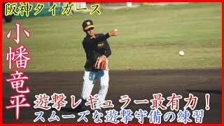 【阪神キャンプ】遊撃レギュラー最有力！阪神 小幡竜平のショート守備練習！